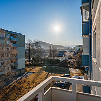 20260119-DSC05619-SJ Photography (Selina Jakob)