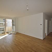 Bild1