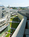 inbiau 36001 ©paul ott MQG 47 chka.jpg
