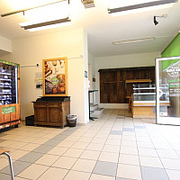 Geschäftslokal/Büro 85m² in der Siebenhügelstrasse in zentraler Geschäftslage!