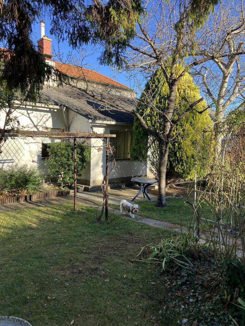 Garten mit Haus im Herbst