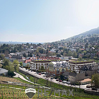 Schaubild Schwarzes Kreuz