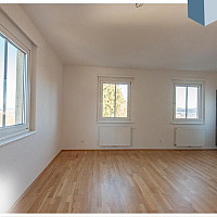 Wohnen / Essen / Kochen